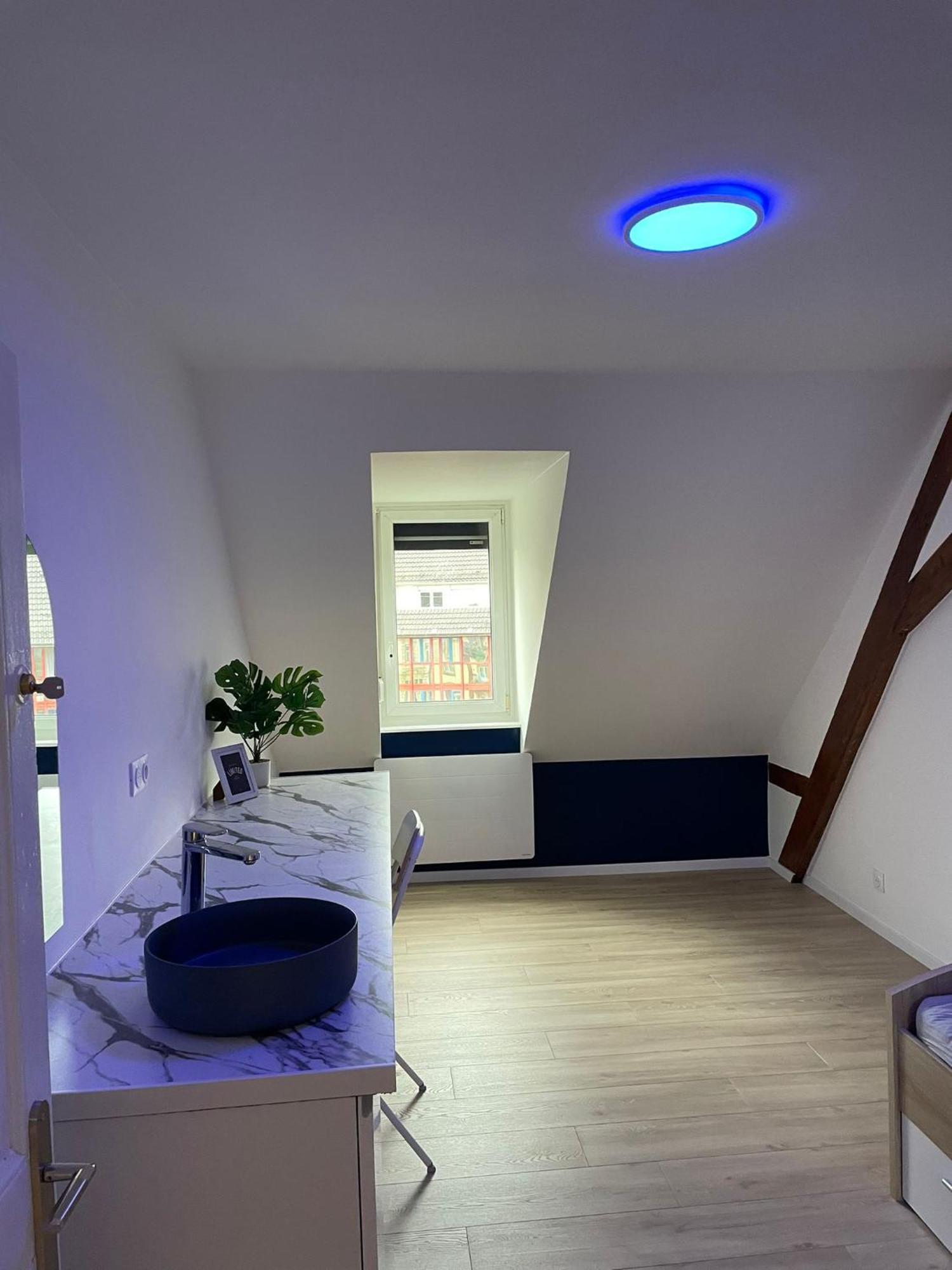 Homestay Mont Coloc - 5 Min De La Gare De Strasbourg